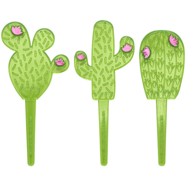 Cactus Asst
