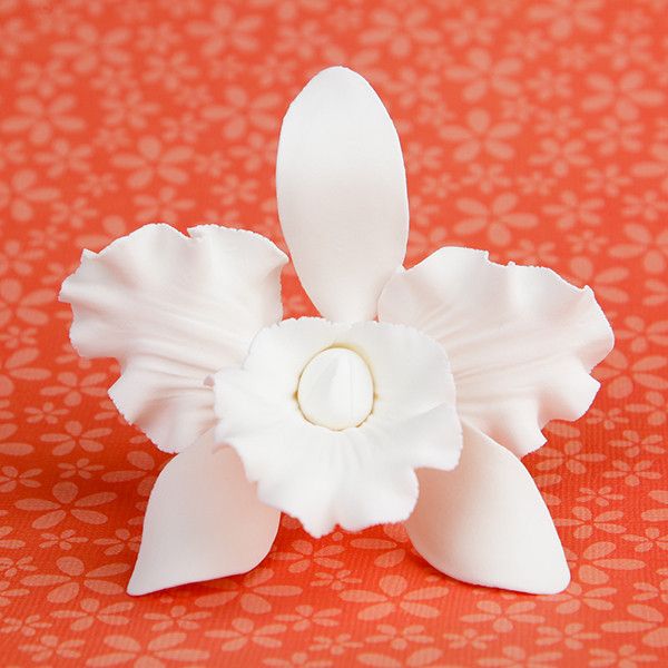 Orchid