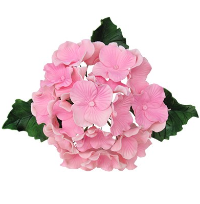 Hydrangea Cutter Set of 4