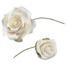 White Rose w/calix (2)
