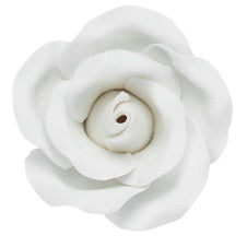 White Rose 1"