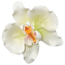 Orchid 3"