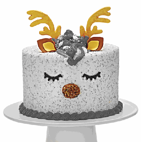 Reindeer Cake Decor Kit