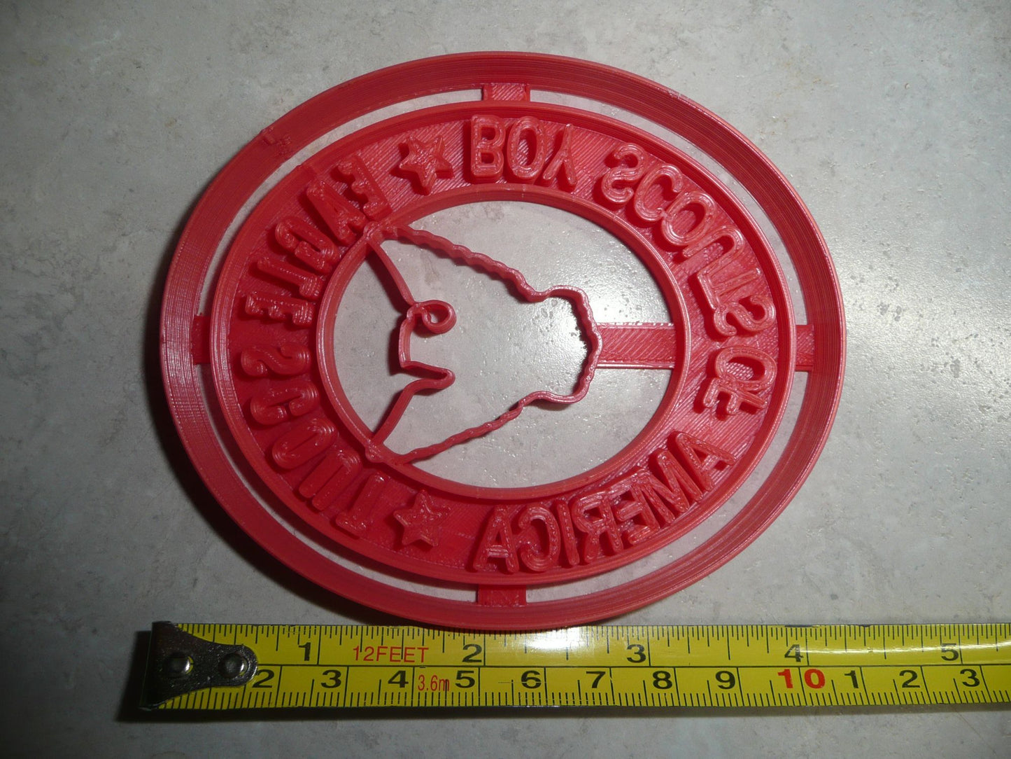 Eagle Scout