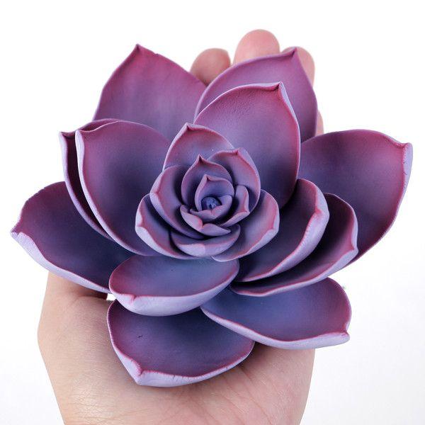 Violet Succulent